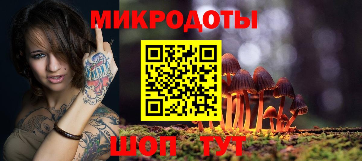 Псилоцибиновые грибы Cubensis Ирбит