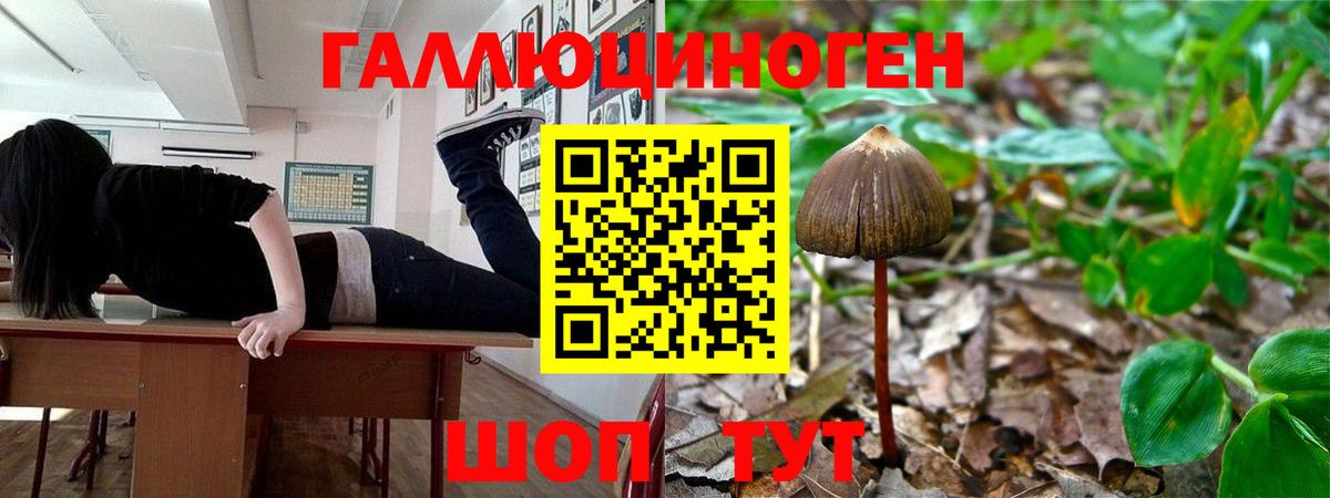 Псилоцибиновые грибы Cubensis  Галлюциногенные грибы мицелий  Ирбит  Вход с VPN 